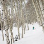 Aspen Snowmass Tree Skiing