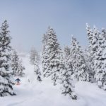 Aspen Snowmass Powder Tree Skiing