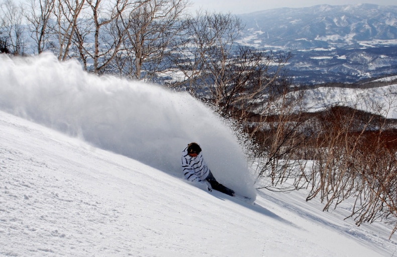 Niseko Ski Resort Powder SkiBookings.com