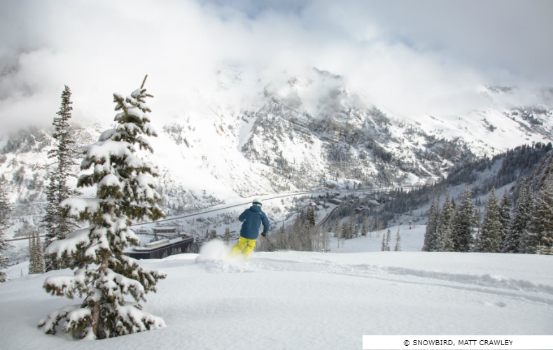 Snowbird Ski Resort Mountain & Terrain Powder SkiBookings.com